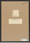 Actinocyclus fulvus (W. Sm.) Ralfs (de-Toni-Nr.: Genus 195, Species 4793/54) Zeichnungen Sammlung Grunow Nr. 8440 (NHMW-BOT-W0377892)